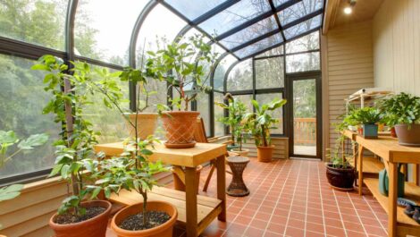 Interior of a sunroom filled with potted plants.