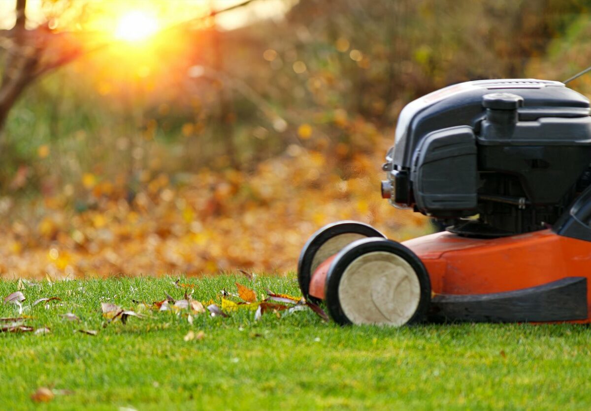 Lawnmower being on a leafy lawn.