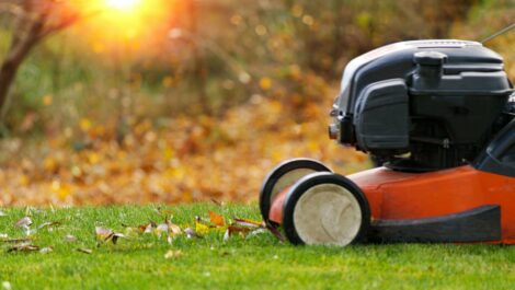 Lawnmower being on a leafy lawn.